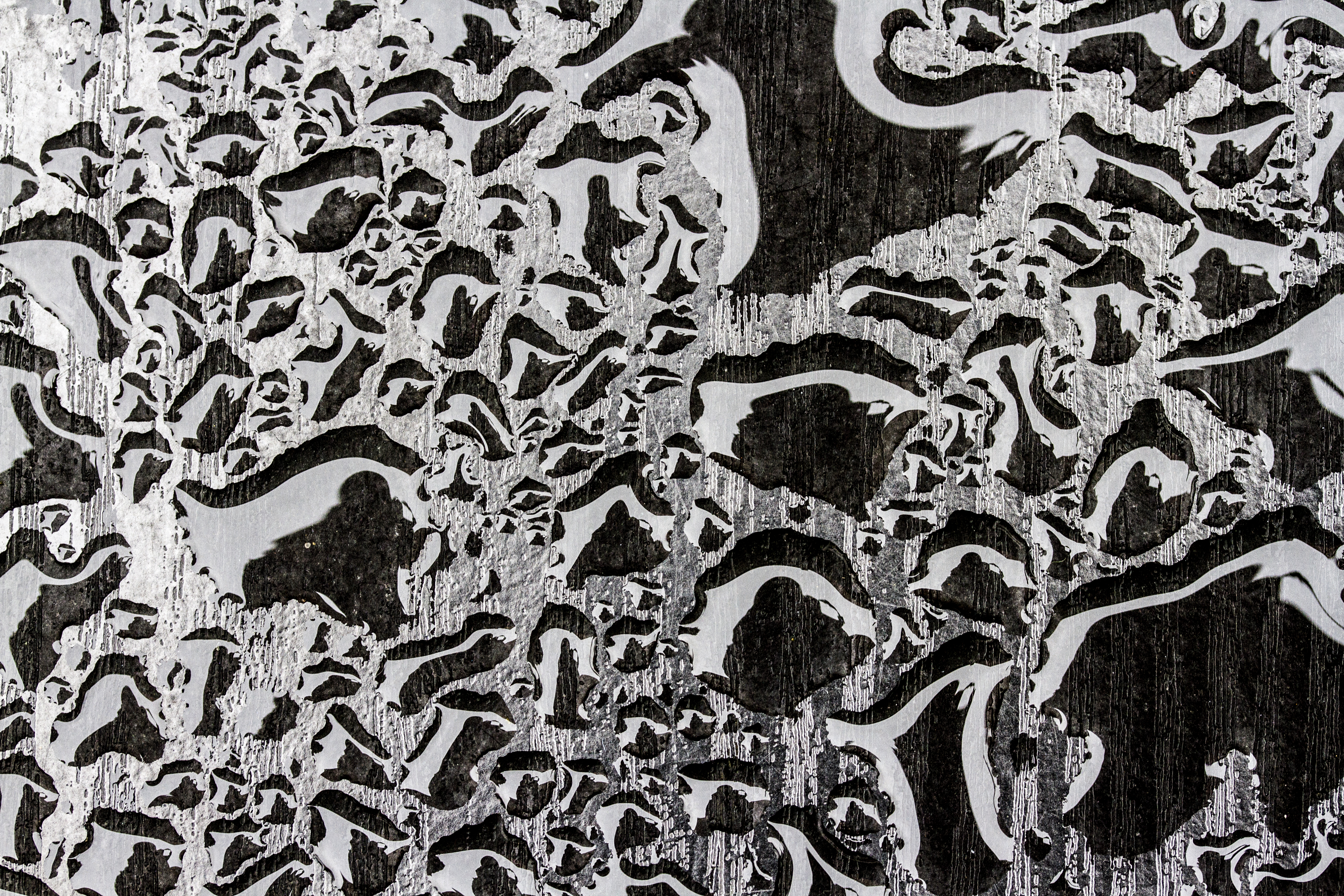 5184x3456 Free Images Black And White, Pattern, Lace, Font, Textile, Uk - Lace Pattern Drawing