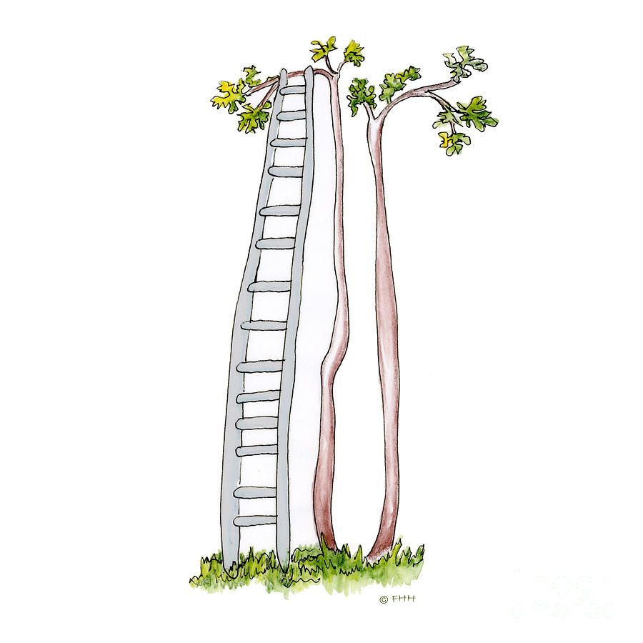900x900 rickety ladder drawing - Ladder Drawing