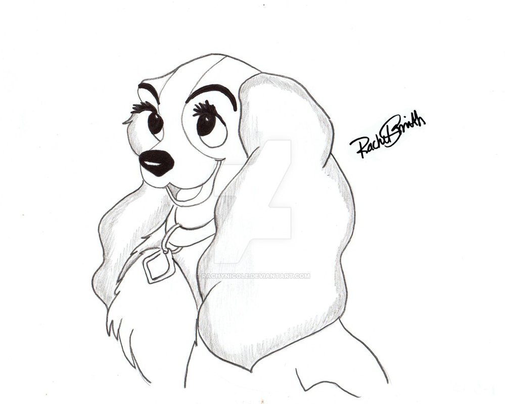 999x799 Lady - Lady And The Tramp Drawing