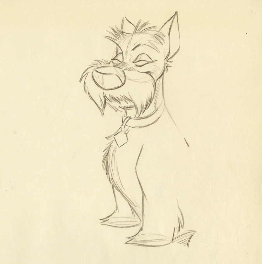 895x900 Lady And The Tramp Production Drawing - Lady And The Tramp Drawing