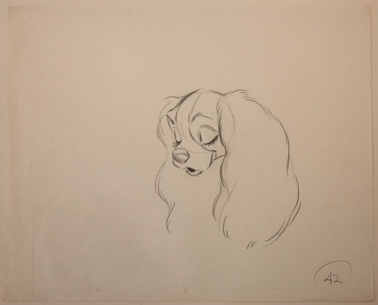 1500x1209 Lady And The Tramp Production Drawing - Lady And The Tramp Drawing