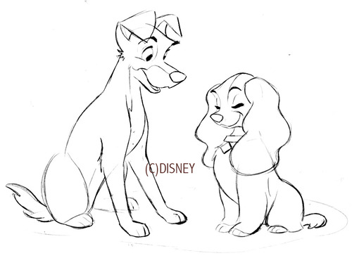 500x367 Steve Thompson Lady And The Tramp - Lady And The Tramp Drawing