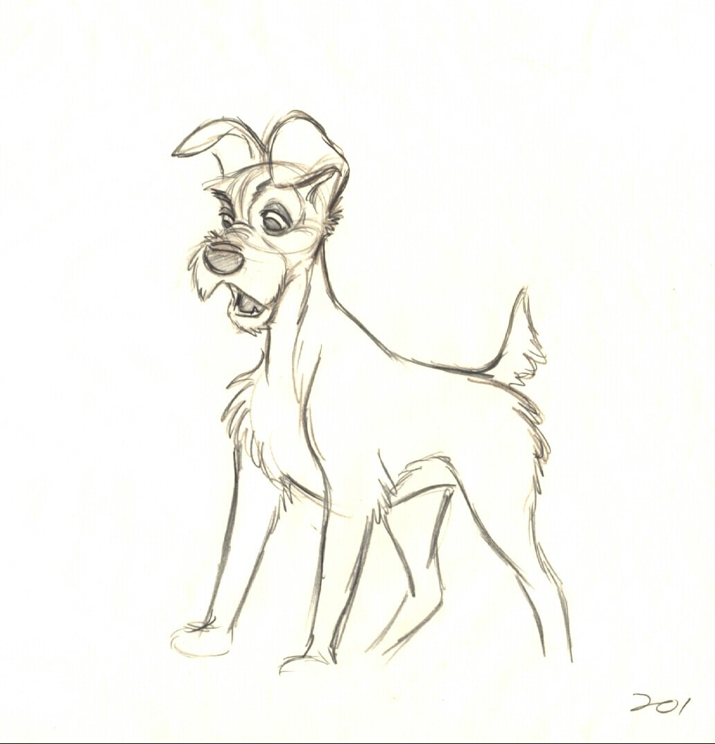 1031x1073 Tramp - Lady And The Tramp Drawing