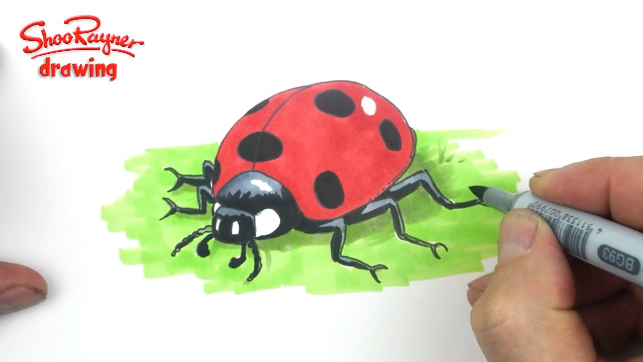 1280x720 How To Draw A Cute Ladybug - Ladybird Drawing