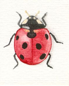 236x292 Ladybug Drawing Artsy Fartsy Ladybug Art, Drawings, Ladybug - Ladybird Drawing