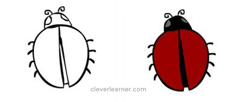 500x211 Step - Ladybird Drawing