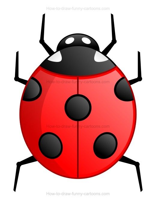 520x675 how to draw a cartoon ladybug misc - Ladybug Cartoon Drawing