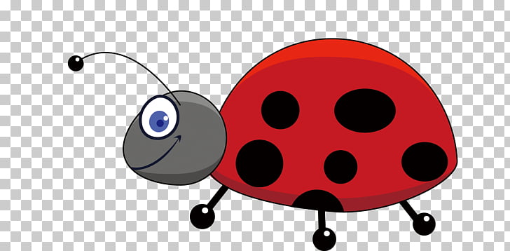 728x358 Insect Drawing Cartoon Ladybug Png Clipart Free Cliparts Uihere - Ladybug Cartoon Drawing
