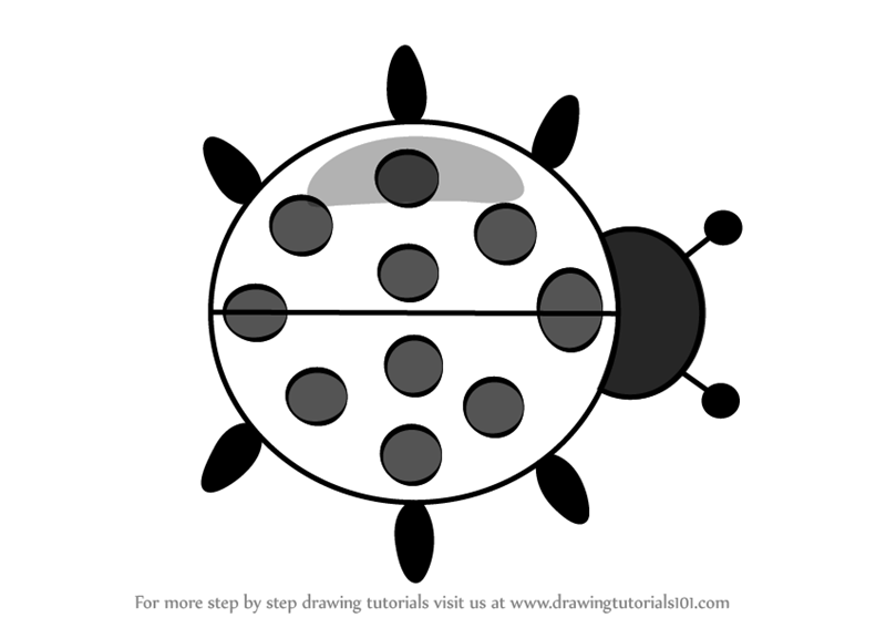 800x567 Learn How To Draw Ladybug Cartoon - Ladybug Cartoon Drawing