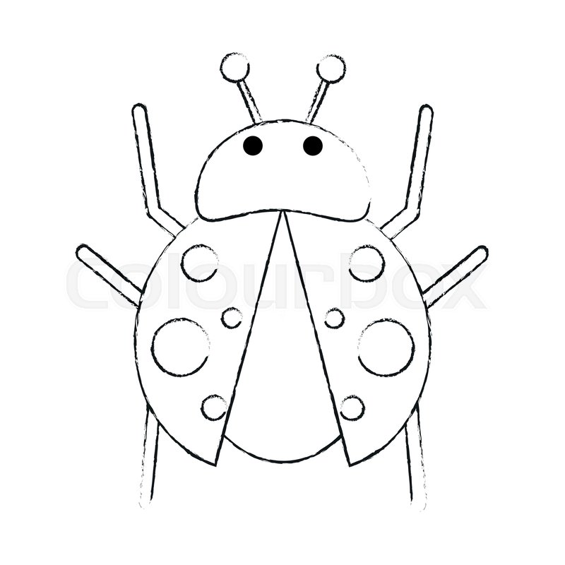 800x800 Cute Ladybug Cartoon Icon Vector Stock Vector Colourbox - Ladybug Cartoon Drawing