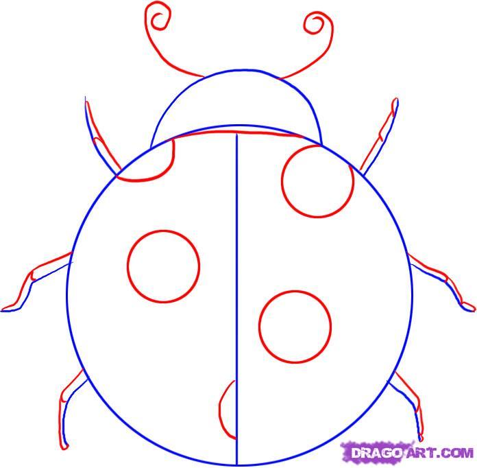 696x682 How To Draw A Ladybug, Step - Ladybug Drawing