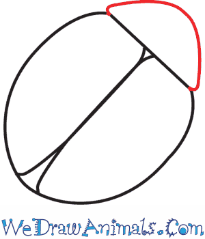 300x350 How To Draw A Ladybug - Ladybug Drawing