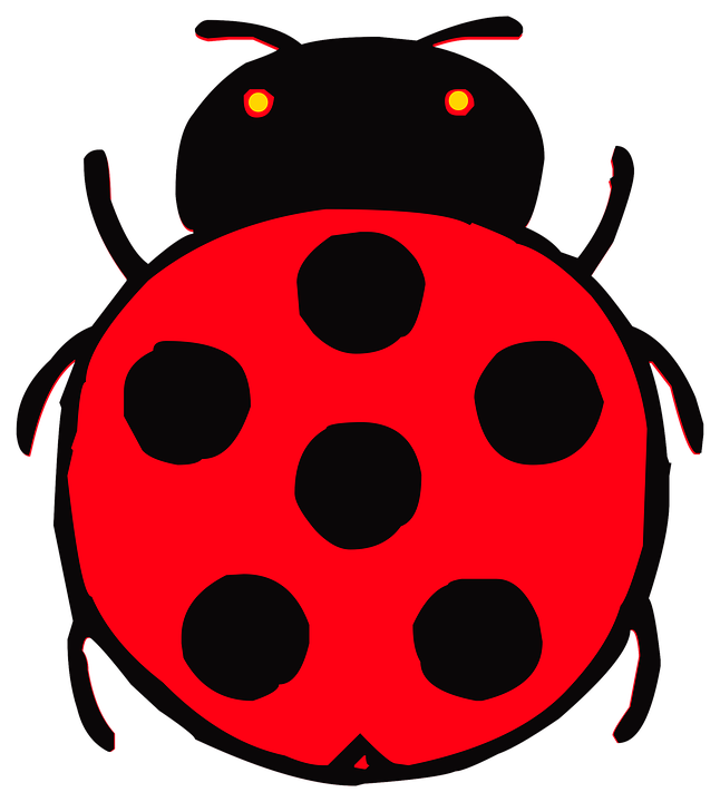 646x720 Free Photo Insect Red Kids Ladybug Beetle Cute Drawing - Ladybug Drawing For Kids