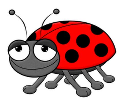 480x360 How To Draw A Lady Bug Step - Ladybug Drawing For Kids