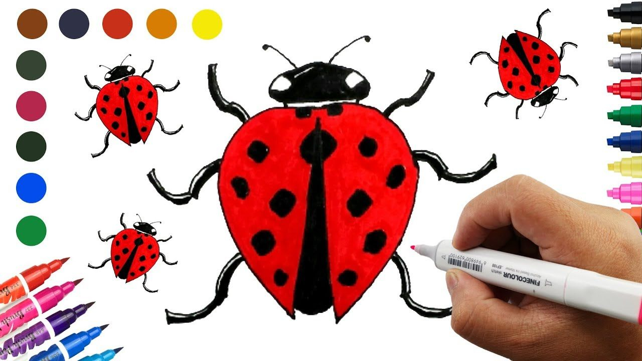 1280x720 Ladybug Drawing For Kids And How To Draw A Ladybug Coloring Pages - Ladybug Drawing For Kids