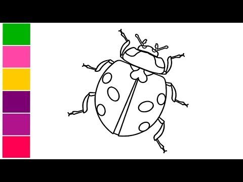 480x360 Ladybug Drawing For Kids With Coloring How To Draw Ladybird - Ladybug Drawing For Kids