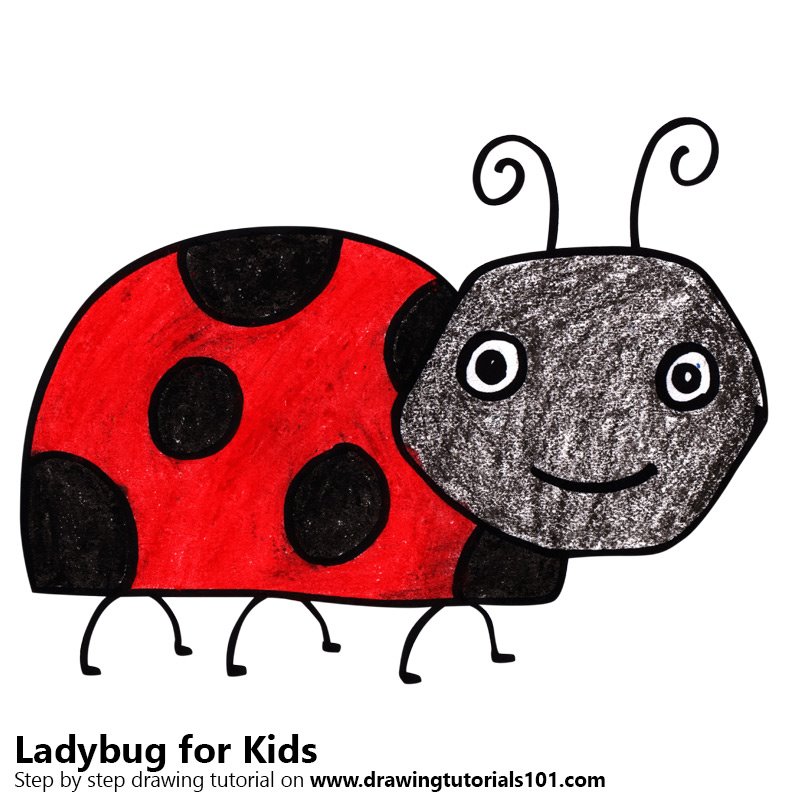 800x800 Learn How To Draw A Ladybug For Kids - Ladybug Drawing For Kids