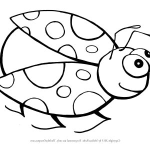 300x300 How To Draw A Cartoon Ladybug - Ladybug Drawing Pictures