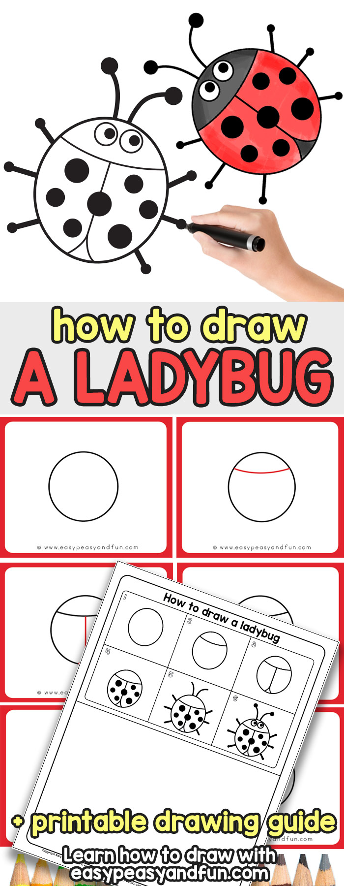 700x1800 How To Draw A Ladybug - Ladybug Drawing Pictures