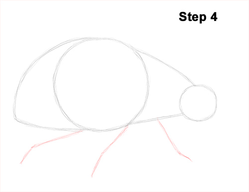500x386 How To Draw A Ladybug - Ladybug Drawing Pictures