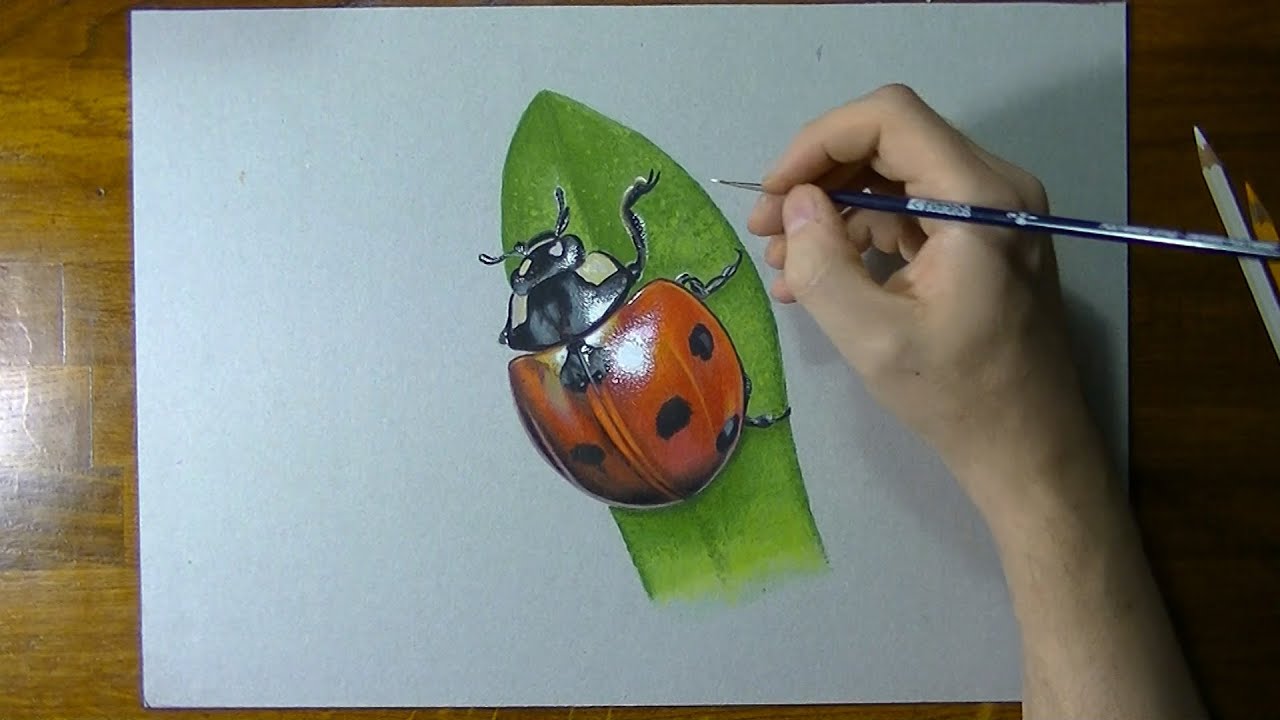 1280x720 How To Draw A Ladybug - Ladybug Drawing Pictures