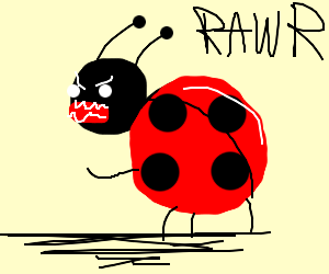 300x250 Scary Ladybug Drawing - Ladybug Drawing Pictures