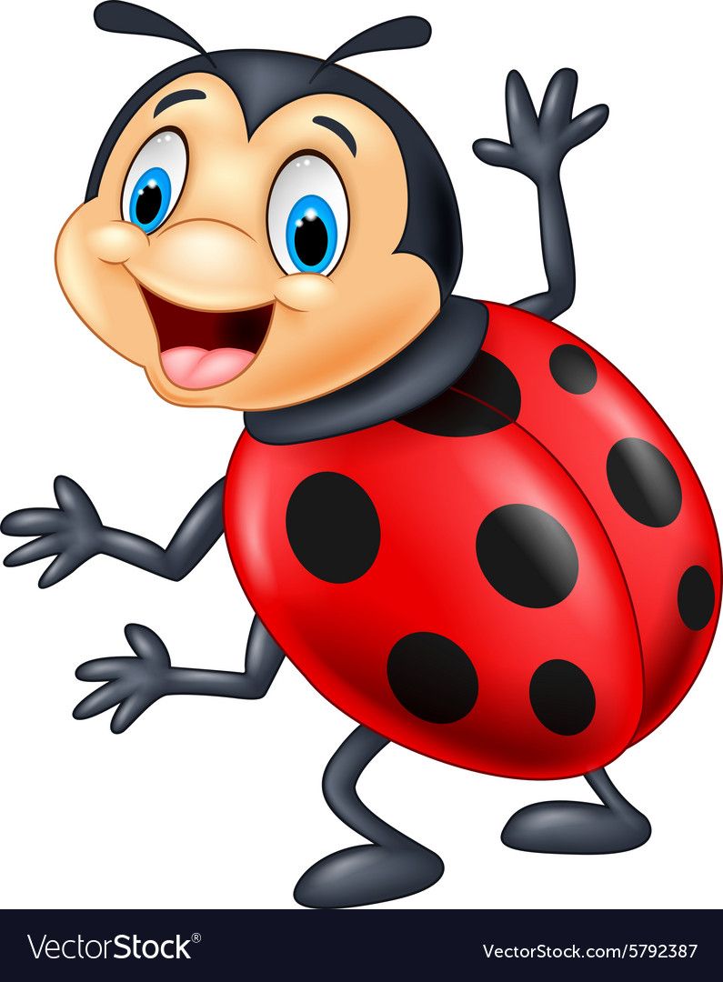 Ladybug Drawing Pictures at Explore collection of