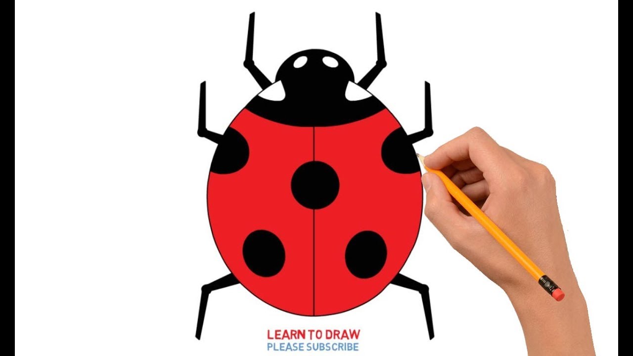 1280x720 How To Draw A Ladybug Step - Ladybug Drawing Step By Step