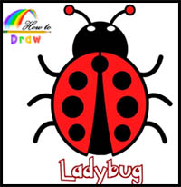 200x206 How To Draw Cartoon Ladybugs Realistic Ladybugs Drawing - Ladybug Drawing Step By Step