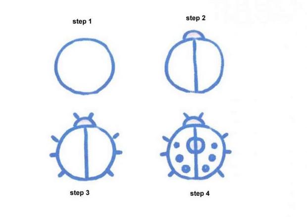 620x438 How To Draw How To Draw A Ladybug - Ladybug Drawing Step By Step