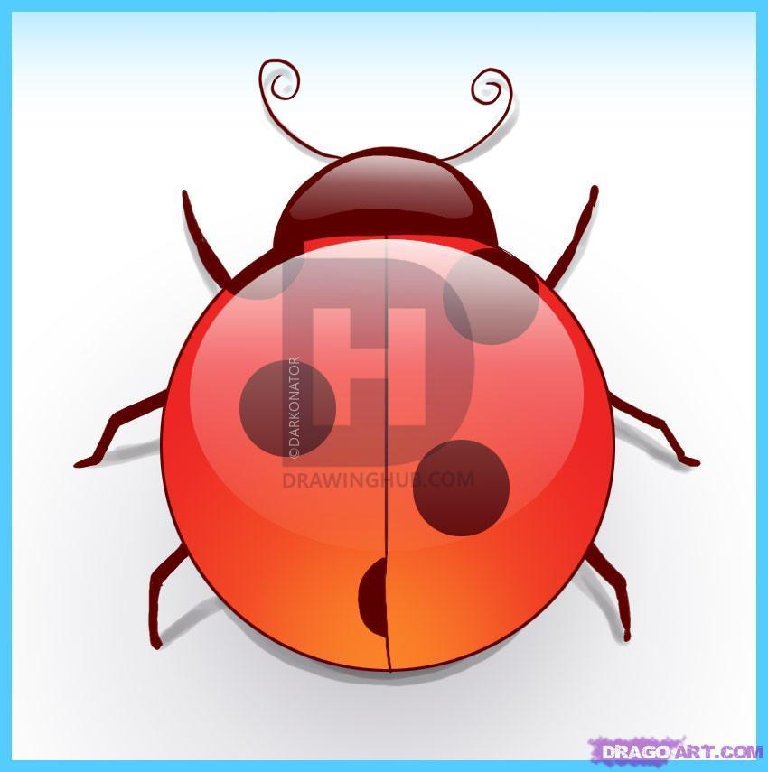 850x855 How To Draw A Ladybug, Step - Ladybug Drawing Step By Step