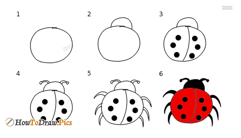 Ladybug Drawing Step By Step at PaintingValley.com | Explore collection