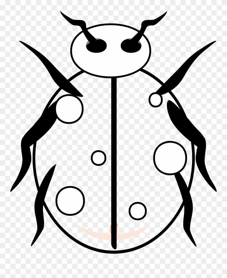 Ladybug Line Drawing at Explore collection of