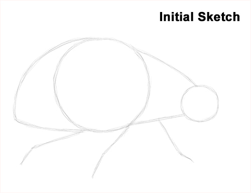 500x386 How To Draw A Ladybug - Ladybug Line Drawing