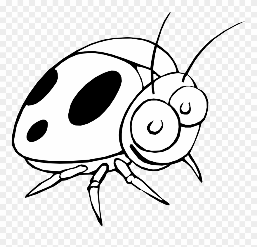 Ladybug Line Drawing at Explore collection of