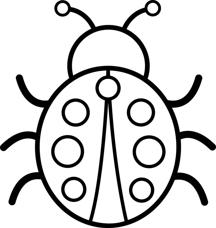 736x777 Bug Drawing Line For Free Download - Ladybug Line Drawing