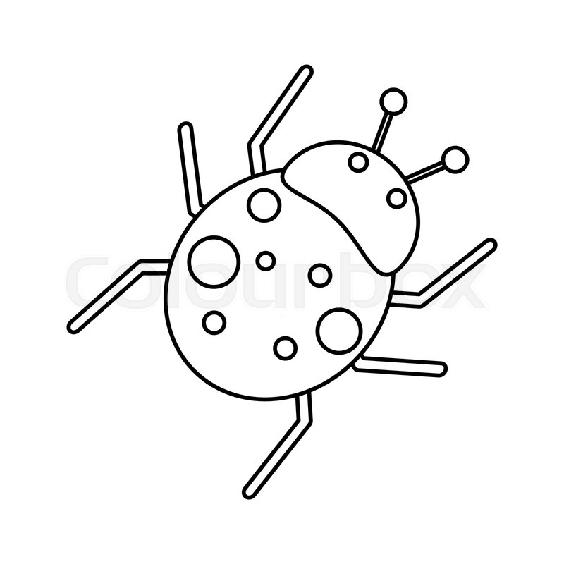 800x800 ladybug fly antenna animal thin line stock vector colourbox - Ladybug Line Drawing