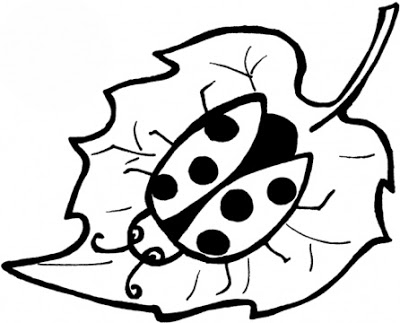 400x323 Line Drawings Clipart - Ladybug Line Drawing