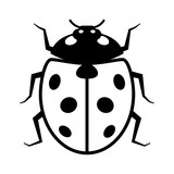 160x160 Coccinellidae Ladybug Or Ladybird Beetle Insect Line Art Vector - Ladybug Line Drawing