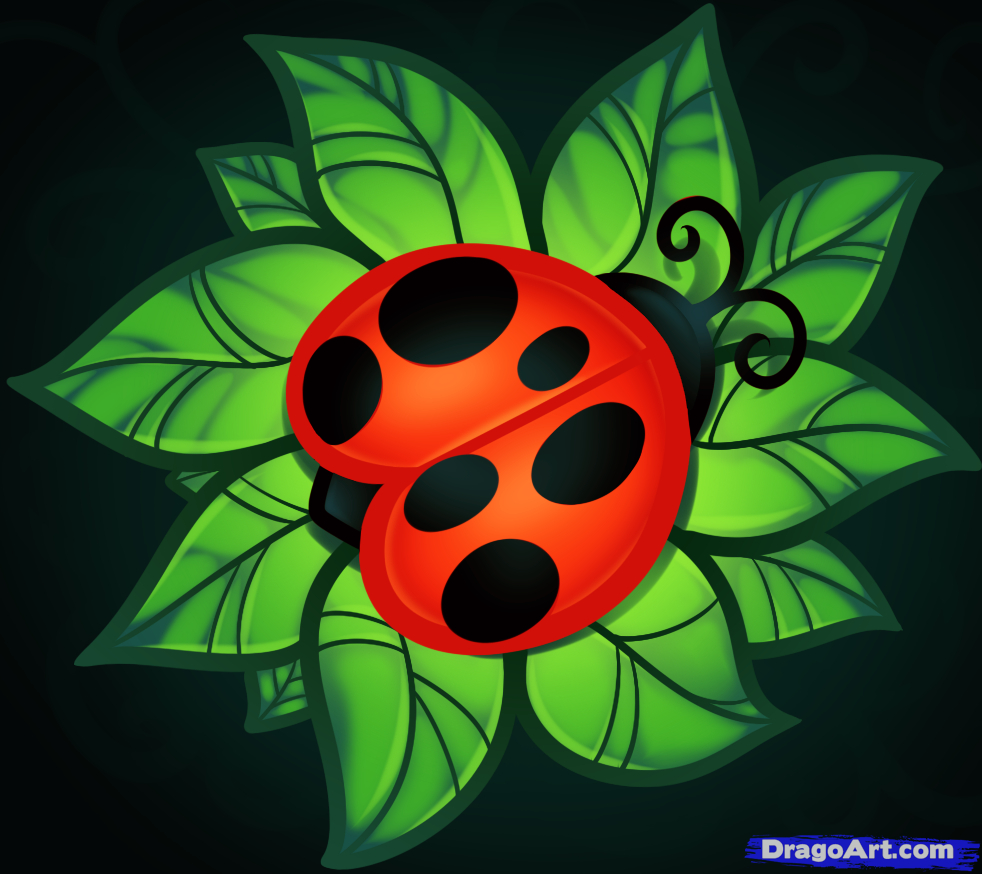 982x874 easy ladybug drawing drawing a ladybug tattoo, tattoo ladybug - Ladybug Tattoo Drawing