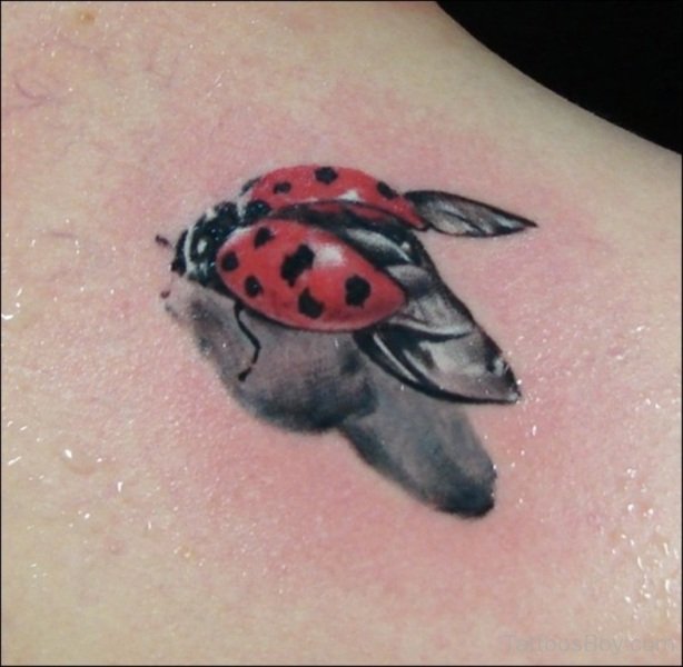 614x600 ladybug tattoo design tattoo designs, tattoo pictures - Ladybug Tattoo Drawing