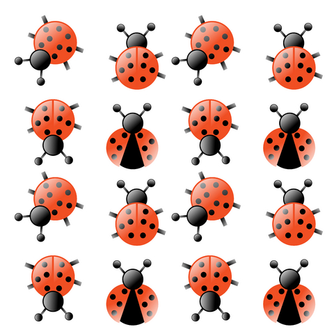 480x480 Ladybug Tattoo Designs - Ladybug Tattoo Drawing