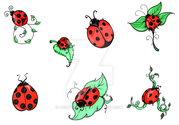 600x420 Ladybug Tattoo Designs - Ladybug Tattoo Drawing