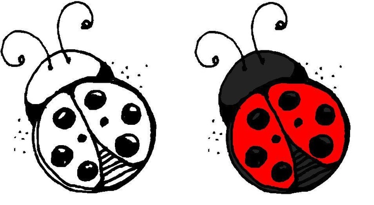 736x404 Ladybug Tattoo Drawing - Ladybug Tattoo Drawing