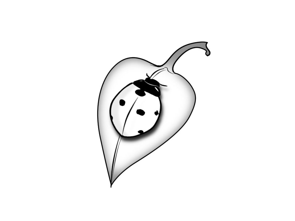 1024x768 Ladybug Tattoos - Ladybug Tattoo Drawing