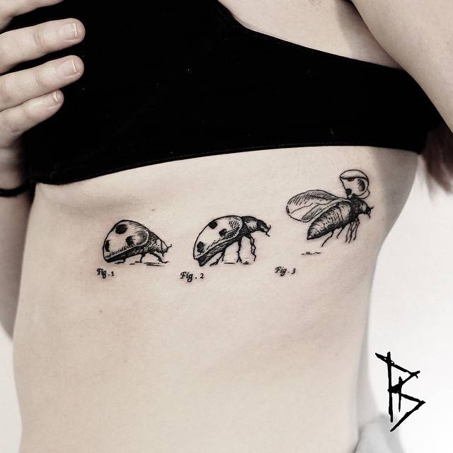 640x640 Scientific Illustration Inpired Ladybug Tattoos - Ladybug Tattoo Drawing
