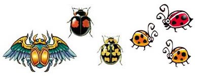 400x150 Tatos Me Guide Ladybug Tattoo Design - Ladybug Tattoo Drawing