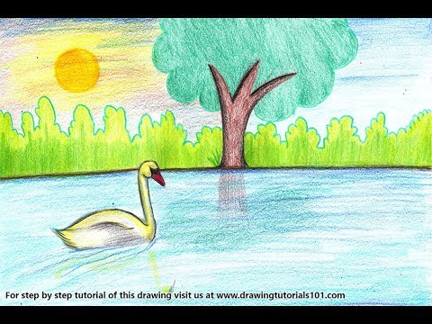 480x360 How To Draw A Swan On A Lake Step - Lake Drawing