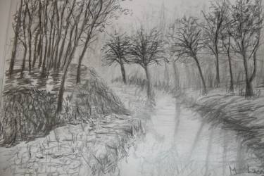 375x250 Trees Around The Lake Drawing - Lake Drawing