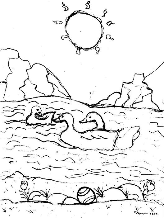 528x700 swimming geese lake drawing greeting card for sale - Lake Line Drawing